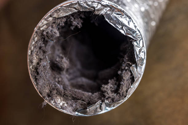Best Local Air Duct Cleaning Services  in Enlow, PA