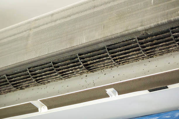 Best Dryer Vent Cleaning Services  in Enlow, PA